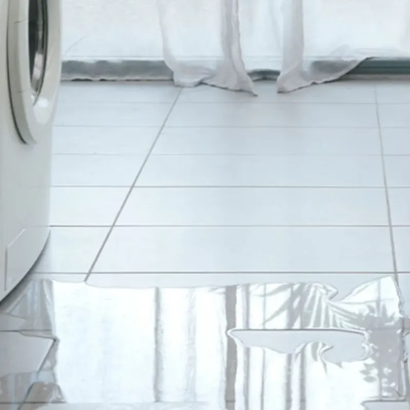 Appliance Leak Cleanup in Springfield, NJ