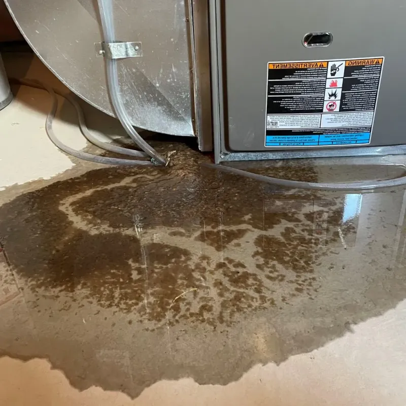 Pipe Burst and Leak Restoration in Springfield, NJ